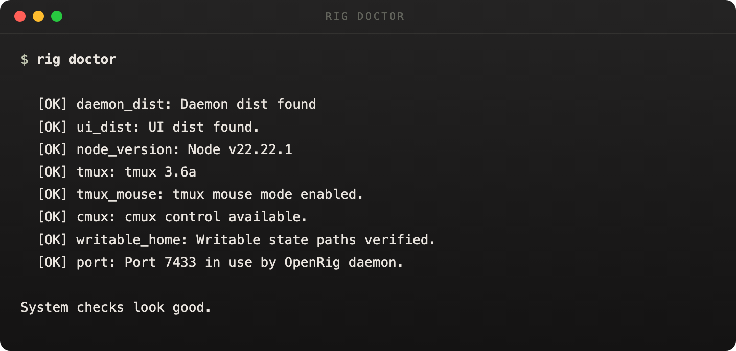 rig doctor output showing install health checks passing