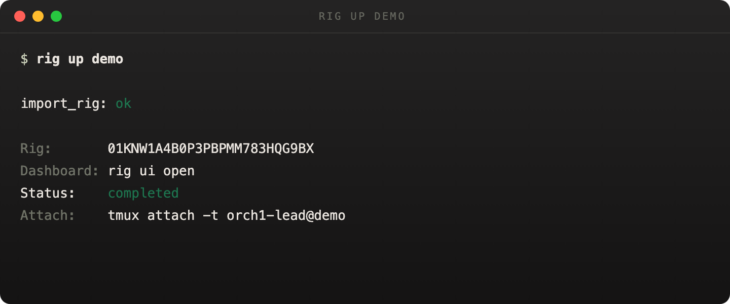 rig up demo output showing a successful demo topology boot sequence
