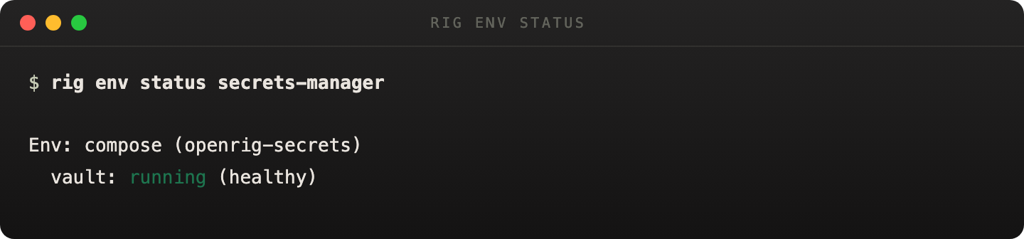rig env status output showing the secrets-manager environment is healthy